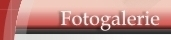 Fotogalerie