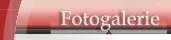Fotogalerie